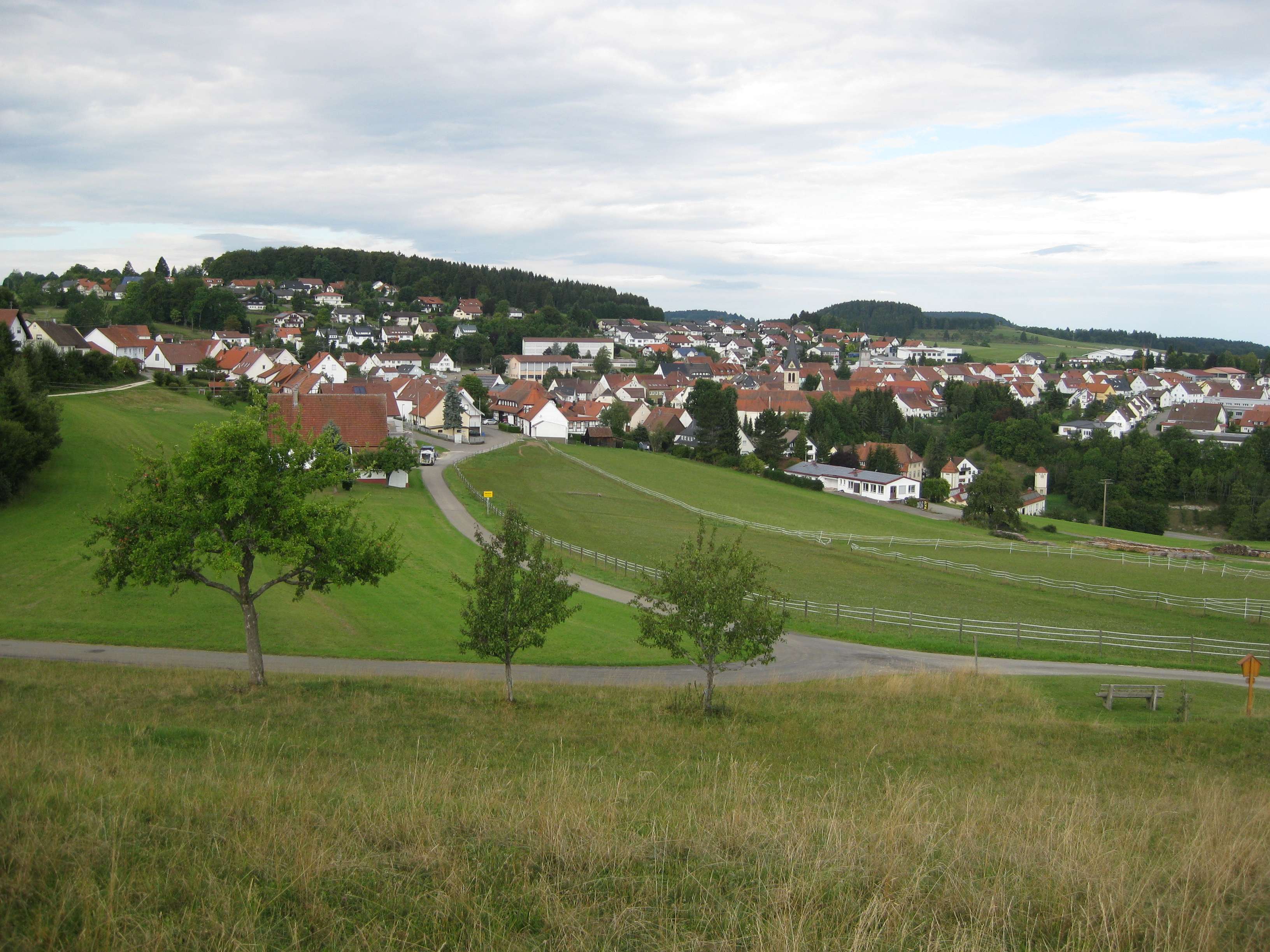  Blick über Obernheim 